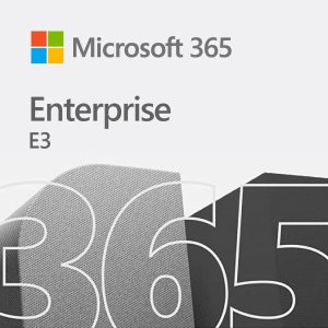 Microsoft 365 E3 (NO TEAMS)